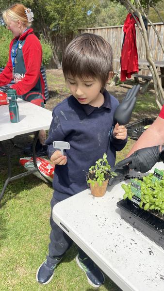 Principal's Report  Banner Photo