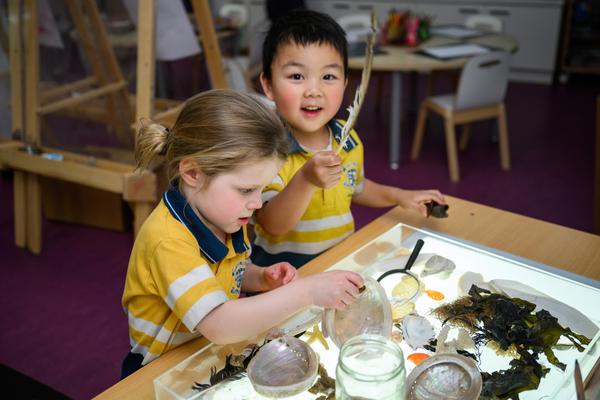 Learning Across the ELC Banner Photo