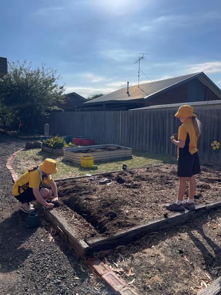 Garden News Banner Photo