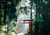 Japan Excursion Banner Photo
