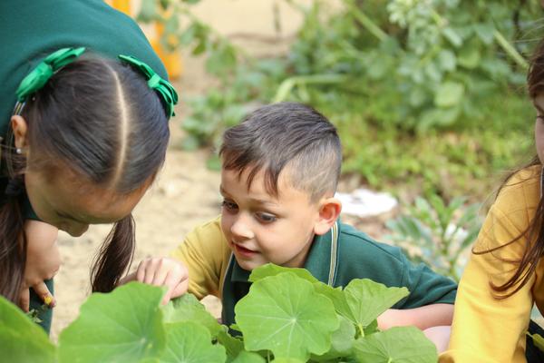 Year 2 News Banner Photo