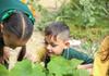 Year 2 News Banner Photo