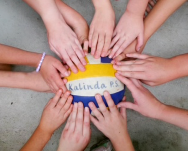 PE news  Banner Photo