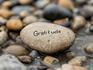 Gratitude Banner Photo