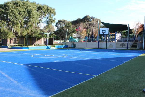 Physical Education & Sports News Banner Photo