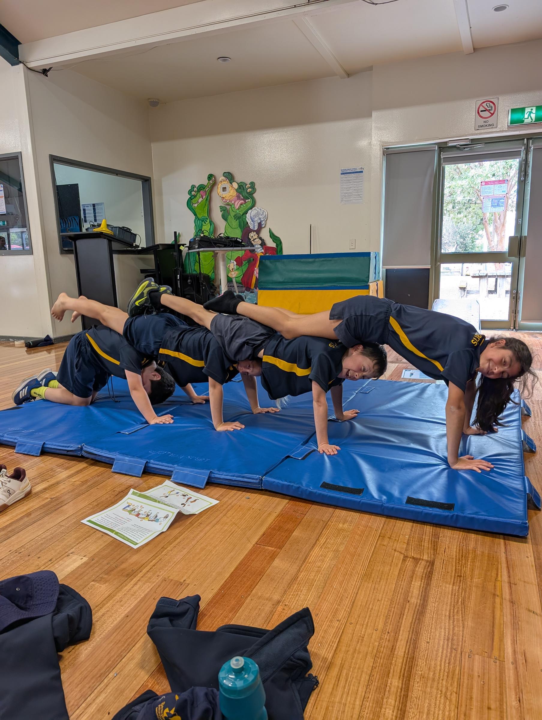 What's Happening in Specialist Programs  Banner Photo