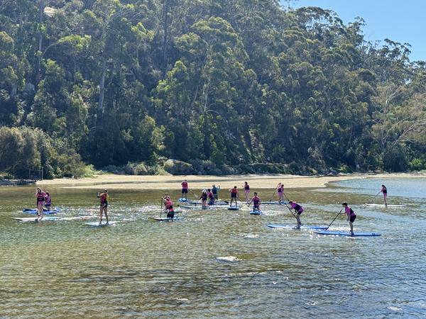 Director of Teaching & Learning Update Banner Photo