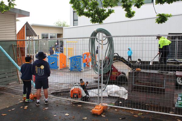 (Acting) Principal's Report Banner Photo