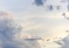 Wellbeing Report Banner Photo