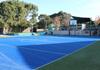 Physical Education & Sports News Banner Photo