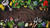 Garden Club Banner Photo
