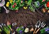 Garden Club Banner Photo