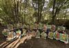 Room 28 Bush Art: Banner Photo