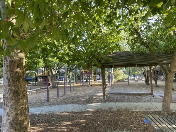 What to expect this term Banner Photo