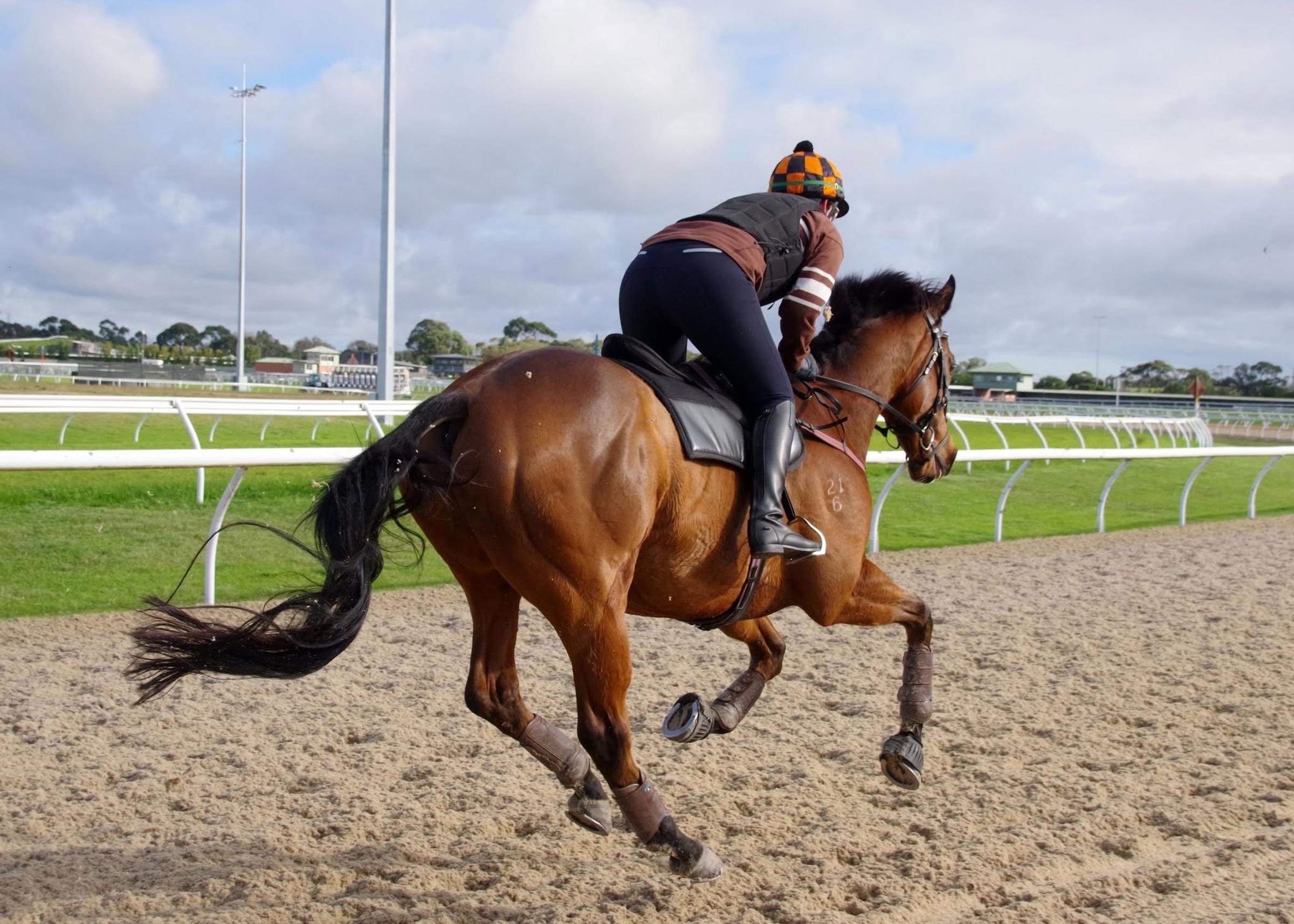Racing Victoria Rider Development Day Banner Photo