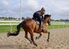 Racing Victoria Rider Development Day Banner Photo