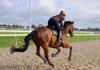 Racing Victoria Rider Development Day Banner Photo