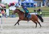 Melbourne Royal Show – Mounted Games Display Banner Photo
