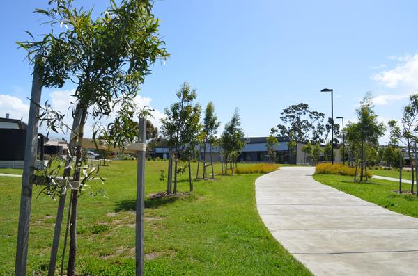 AROUND THE COLLEGE Banner Photo