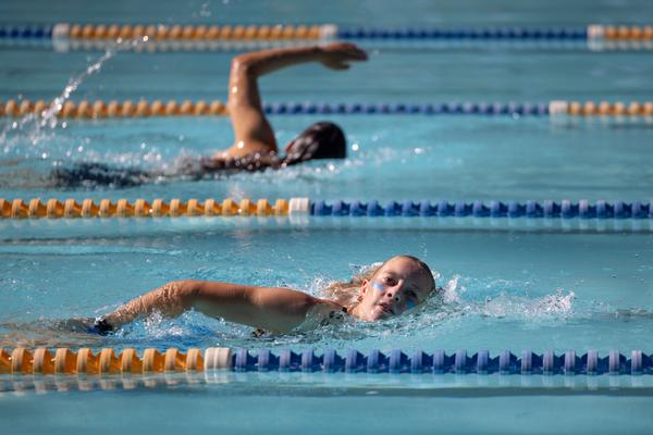 Swimming Carnival Banner Photo