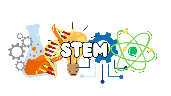 News from STEM Banner Photo