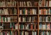 Kingston Libraries 2024 Programs Banner Photo