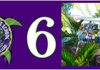 Page 0 Banner Photo