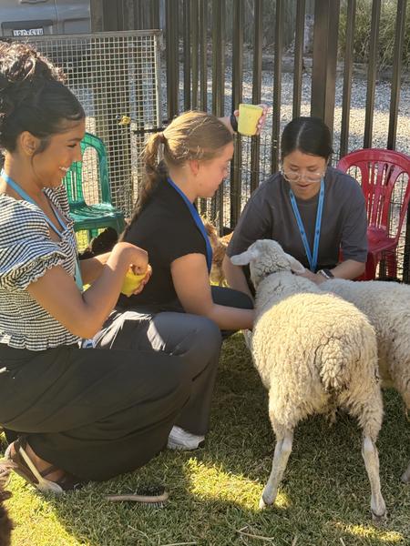 Principals Report  Banner Photo