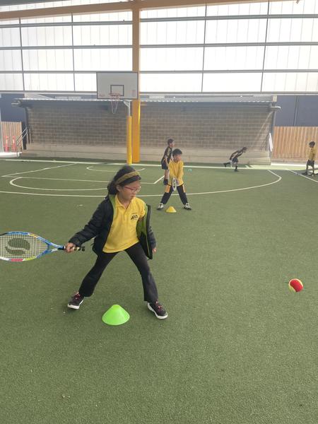 Physical Education Banner Photo