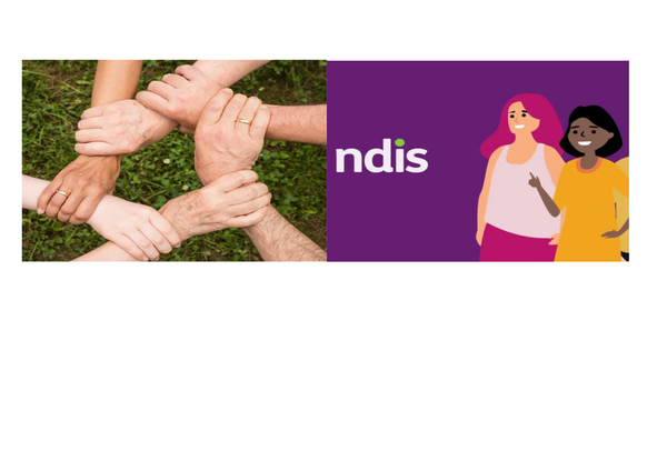 NDIS NAVIGATOR  Banner Photo