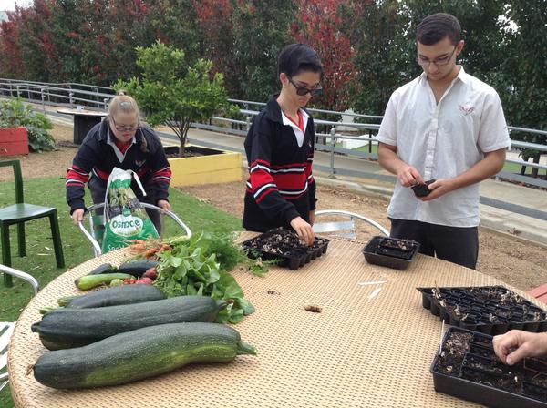 Food Technology Banner Photo