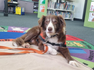 Community News Banner Photo