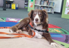 Community News Banner Photo