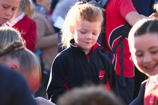 Primary School Banner Photo