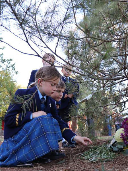Junior School Banner Photo