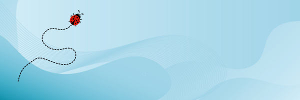 Principal Report Banner Photo