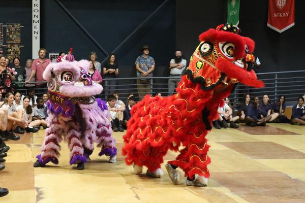 Chinese Dragon Dancers  Banner Photo