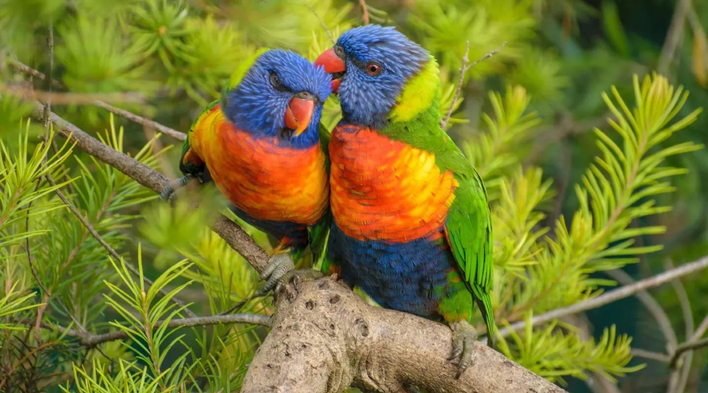 First Aid Banner Photo