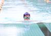 Swimming Carnival Banner Photo