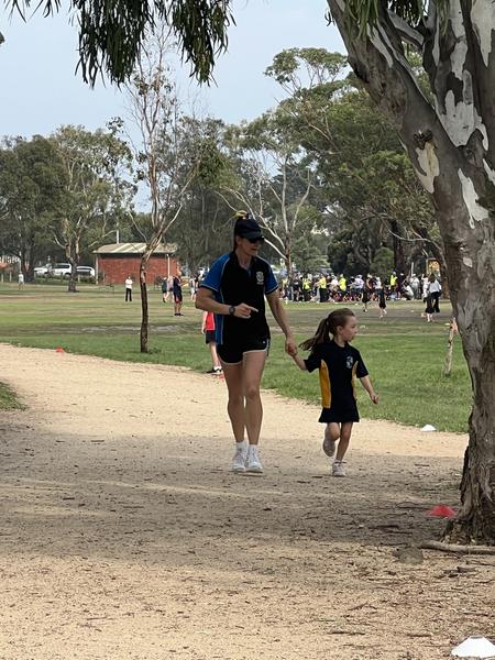 News of the Week Banner Photo