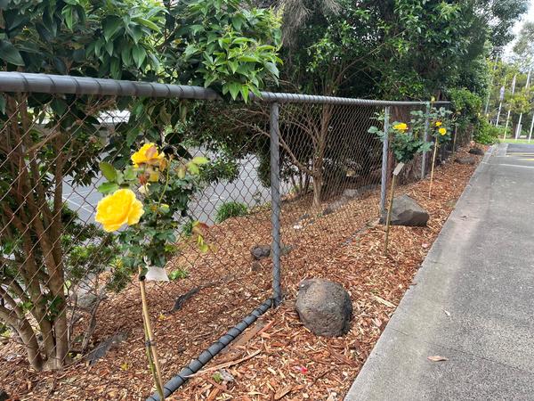 Hands on Learning Banner Photo