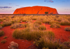 Central Australia Trip Banner Photo