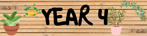 Year  4 Term 1 Overviews Banner Photo