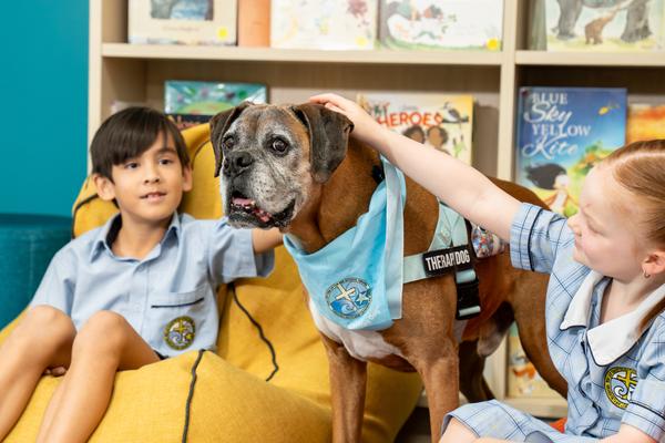 Sport News Banner Photo