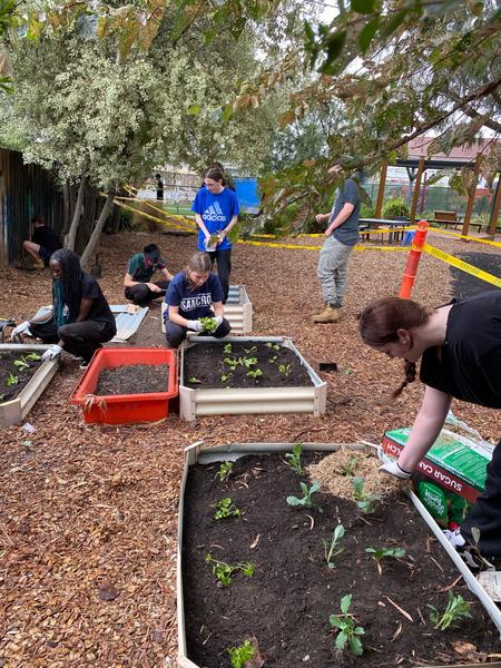 VM News Banner Photo