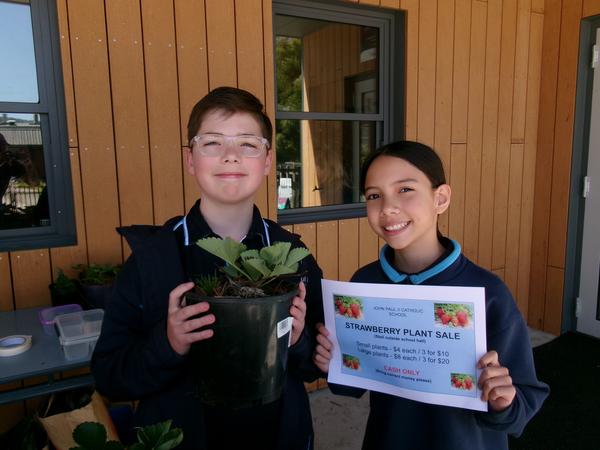 Sustainability Banner Photo