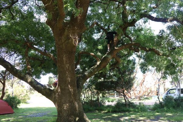 Health and Wellbeing Banner Photo