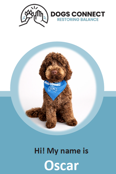 We Are A Dogs Connect Community Banner Photo