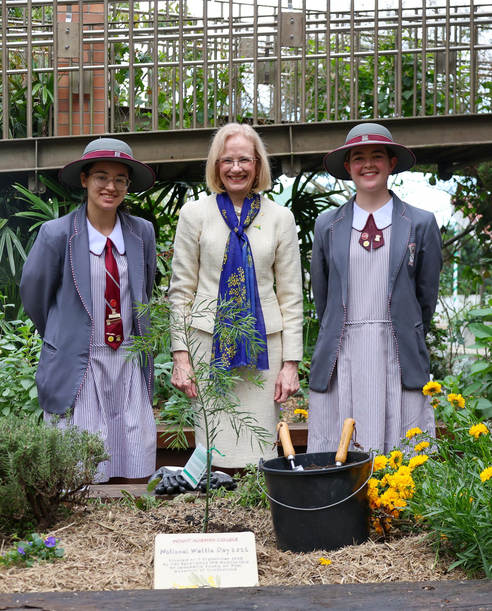 National Wattle Day  Banner Photo