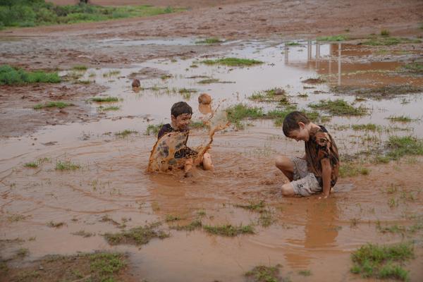 Principal's Report Banner Photo